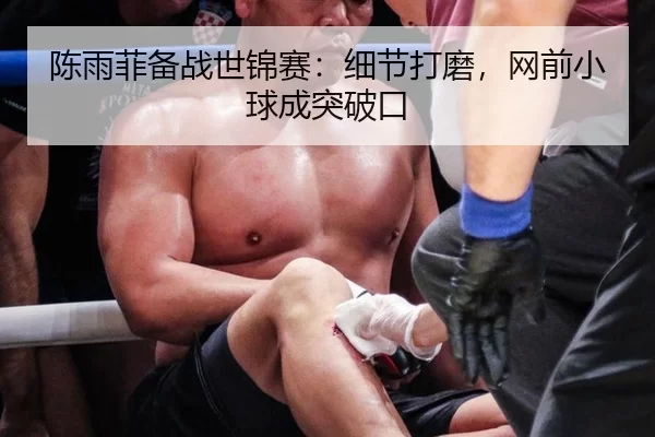 陈雨菲备战世锦赛：细节打磨，网前小球成突破口